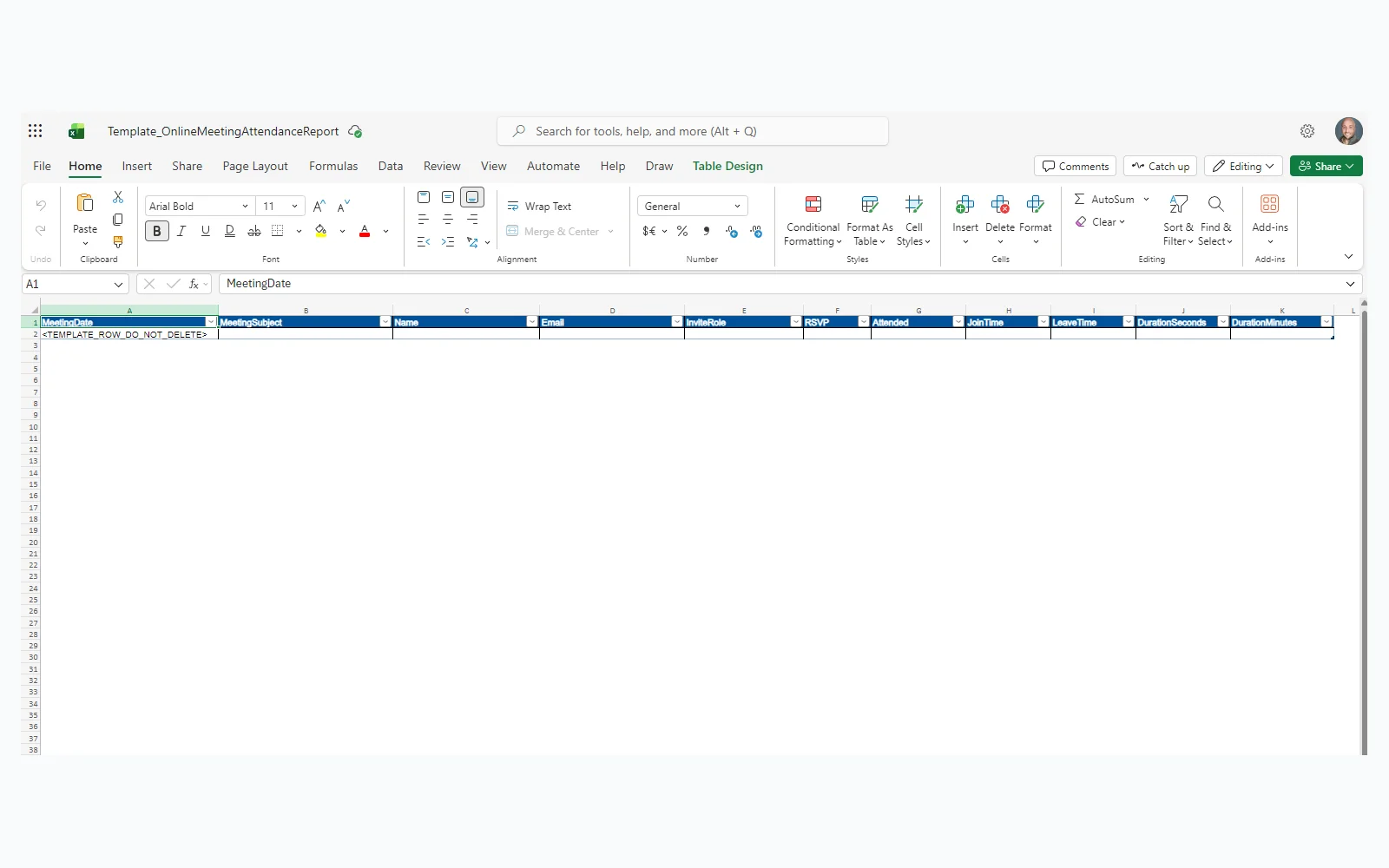Excel template with the placeholder row that gets deleted after data is written